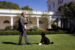 Bo Obama Bo Obama